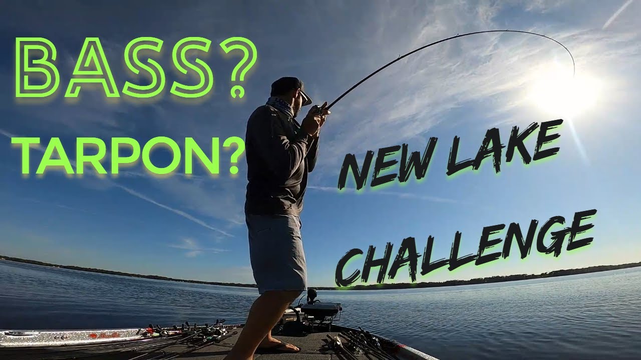 Bass Fishing on Lake Tarpon!
