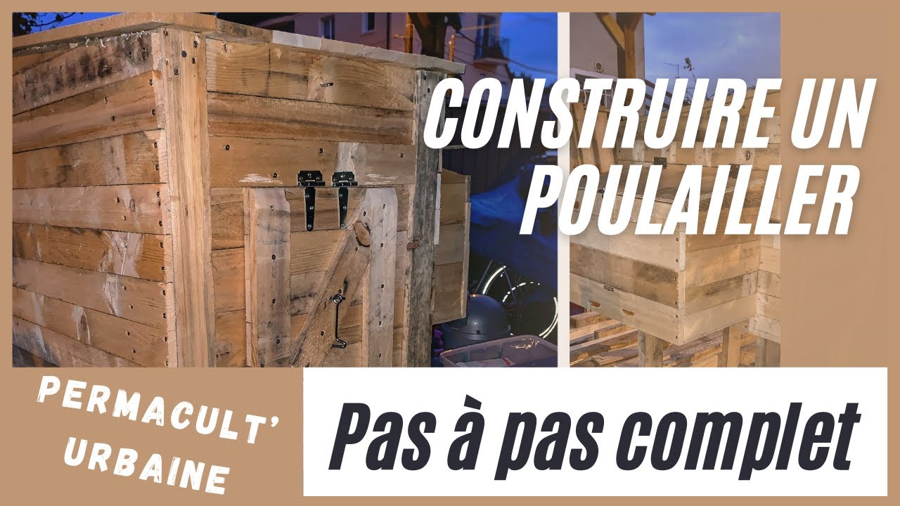 Comment construire et faire un poulailler urbain en palette (en 2022) - partie 1