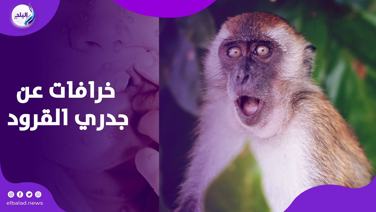 معلومات تخوف .. خرافات عن جدري القرود لازم تعرفها