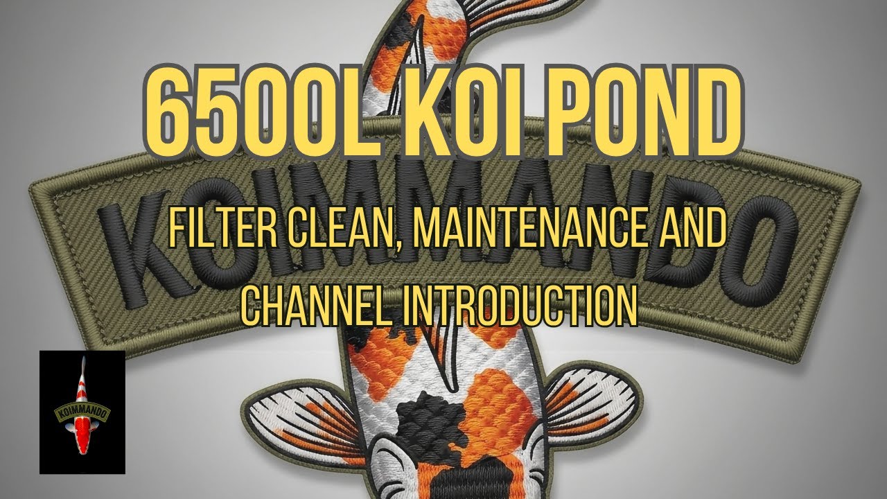 My 6500L koi pond, EAZYPOD clean and waffling on my first vid. 