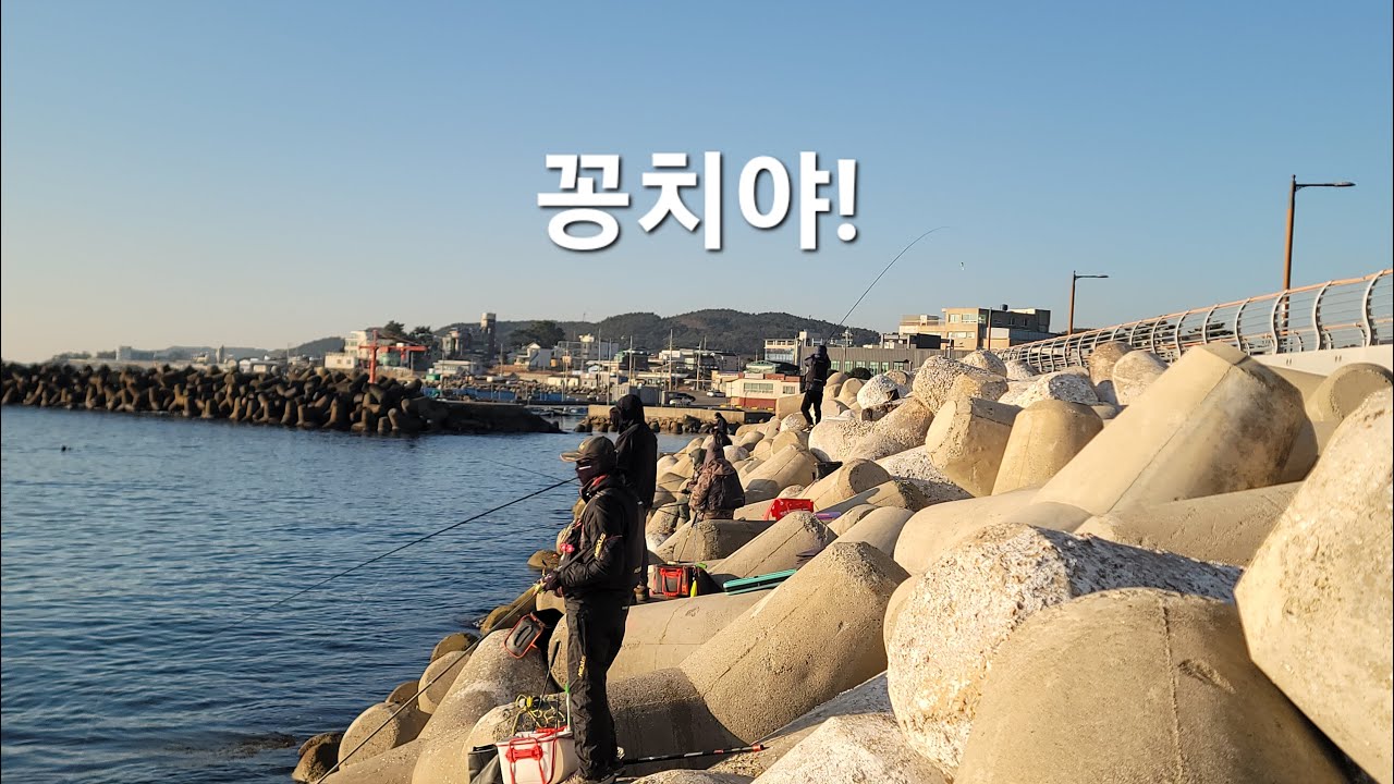 기장권 완전히 (봄)입니다.꽁치가 나와 줄런지...#학꽁치낚시 #fishing
