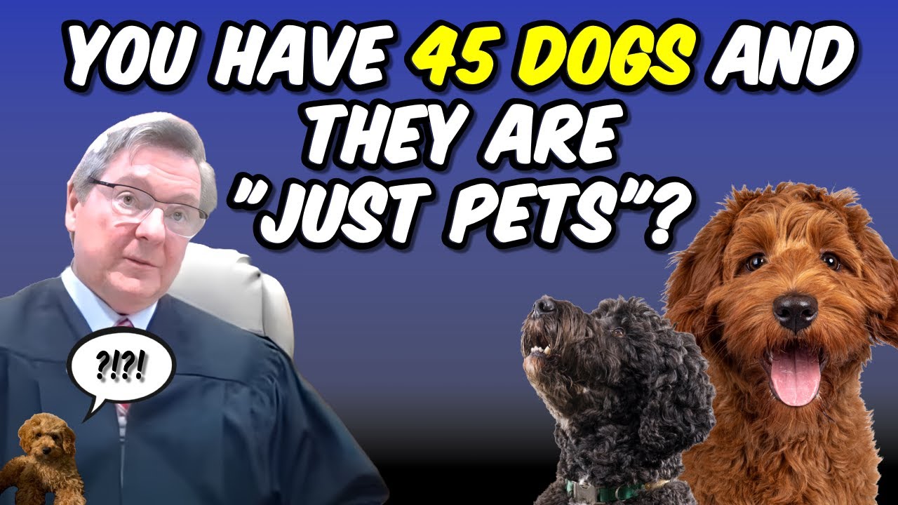 UPDATE: Neighborhood Disputed over Doodle 'Puppy Mill' Rages On...Is it a Hobby or a Business??