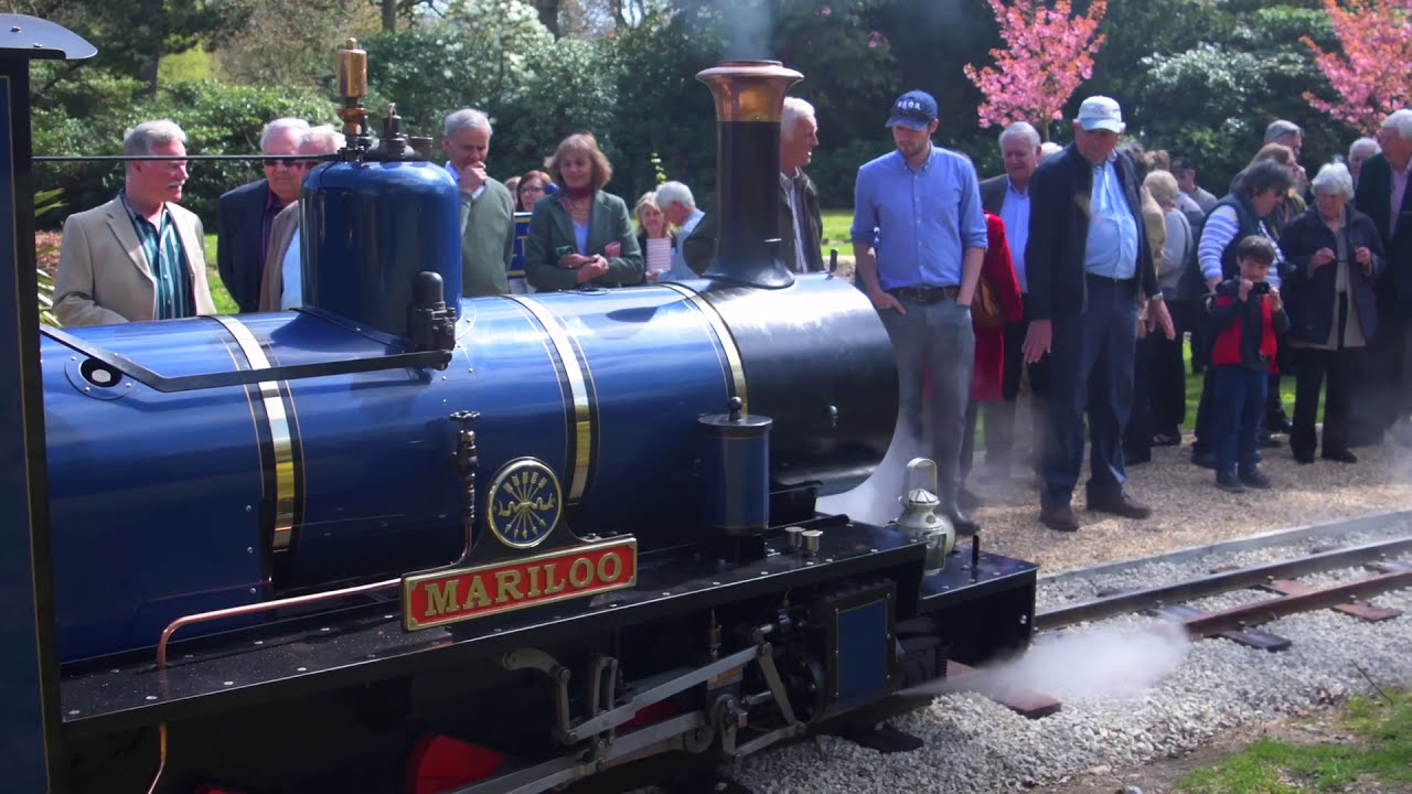 Dan Snow opens Exbury Garden's new steam railway extension