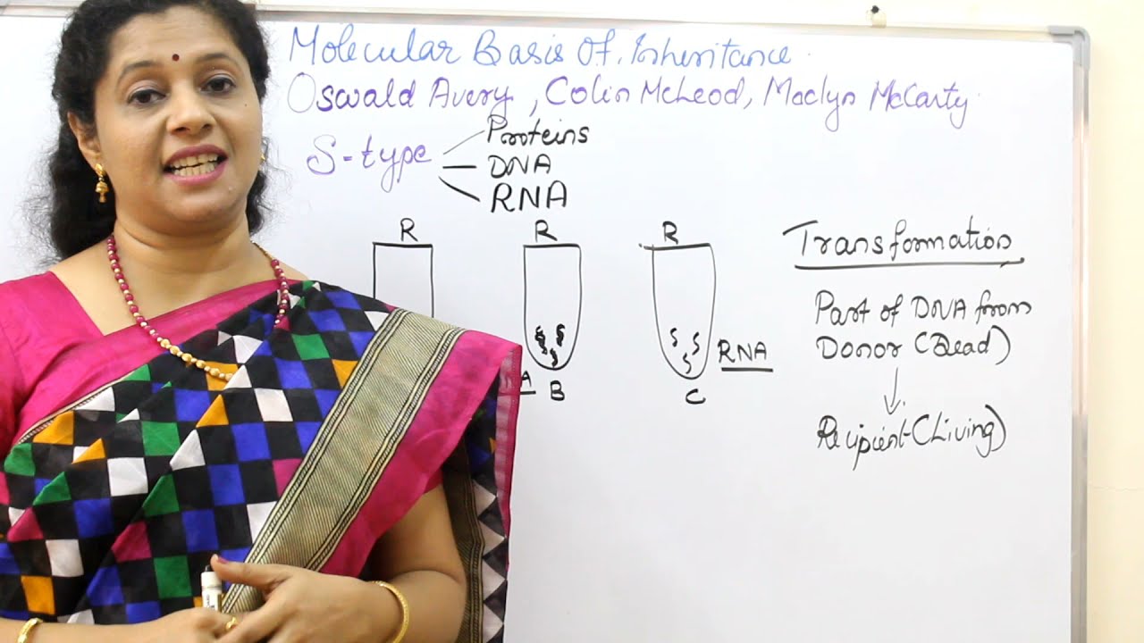 NEET: MOLEUCALR BASIS OF INHERITANCE: PART3 (MALAYALAM) DNA THE GENETIC MATERIAL-Experiments