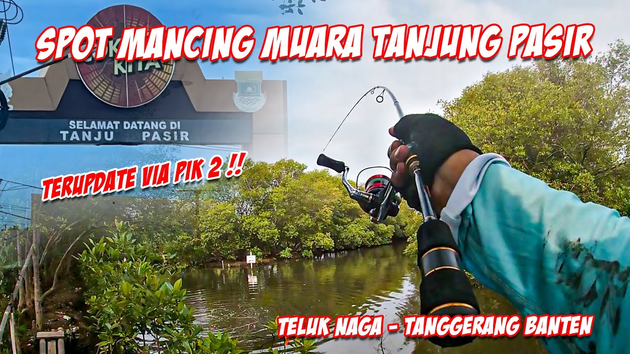 UPDATE SPOT MANCING MUARA TANJUNG PASIR VIA PIK2 - JAKARTA UTARA