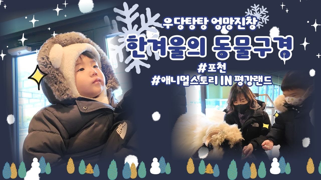 주말 나들이 Vlog / 포천 애니멀스토리 IN 평강랜드 / 우당탕탕_엉망진창