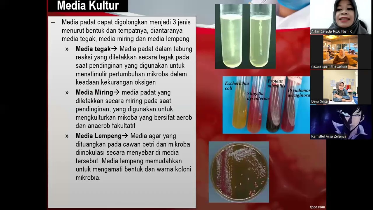 Praktik Mikrobiologi Pembuatan Media Kultur Angkatan 2025