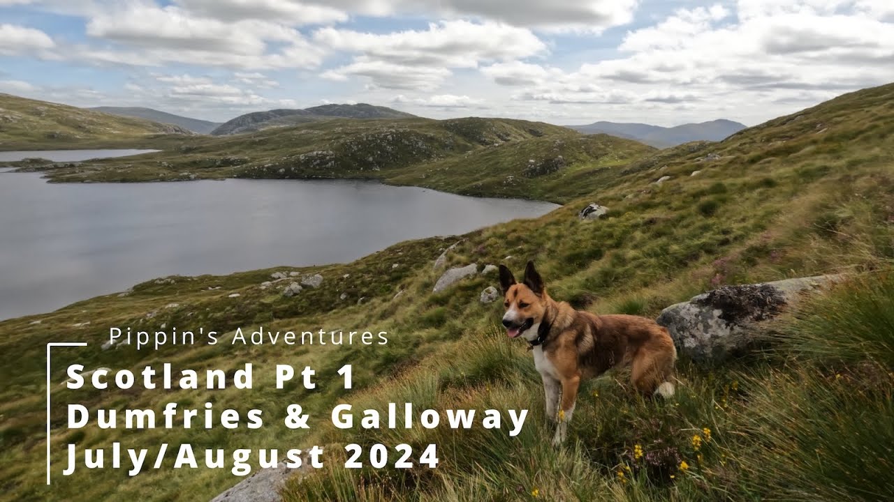 Pippin's Adventures Scotland Pt 1 - Dumfries & Galloway, July/August 2024