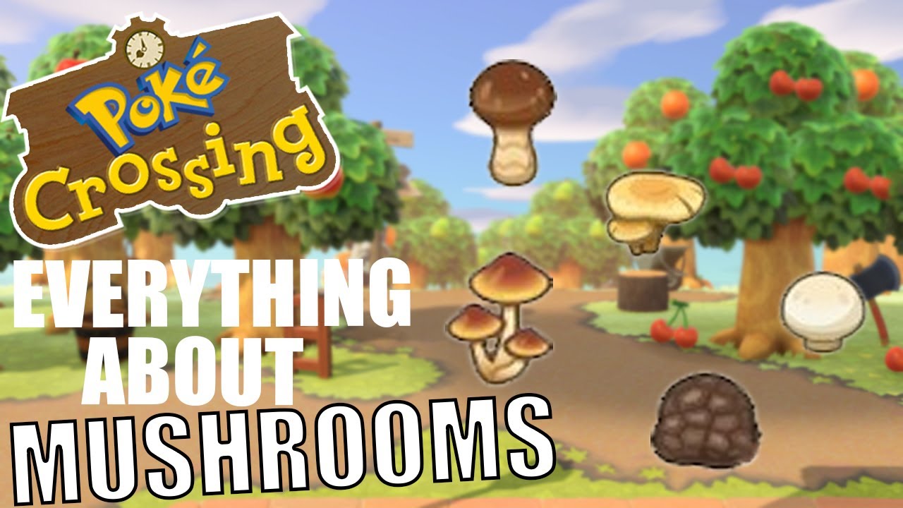 EVERYTHING You Need To Know About Mushrooms! (Animal Crossing New Horizons)