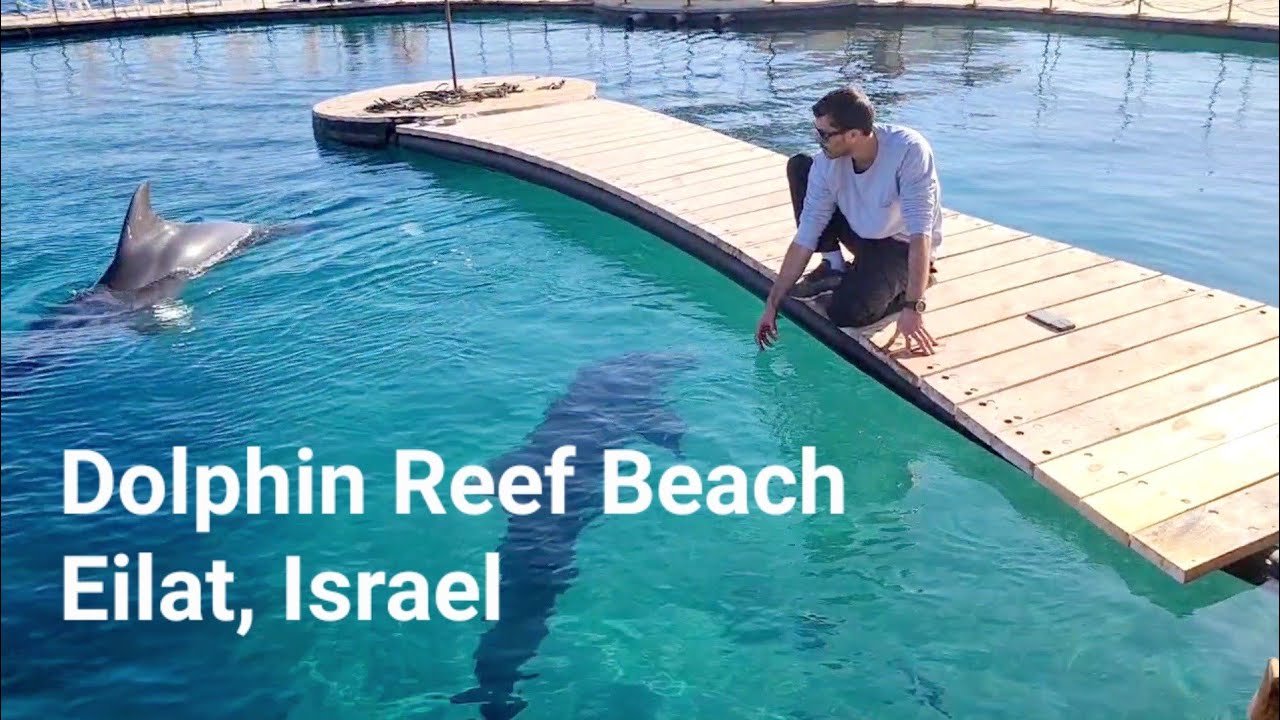 Dolphin Reef Beach, Israel