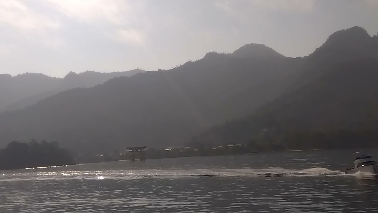 海から眺める宮島の大鳥居⛩️