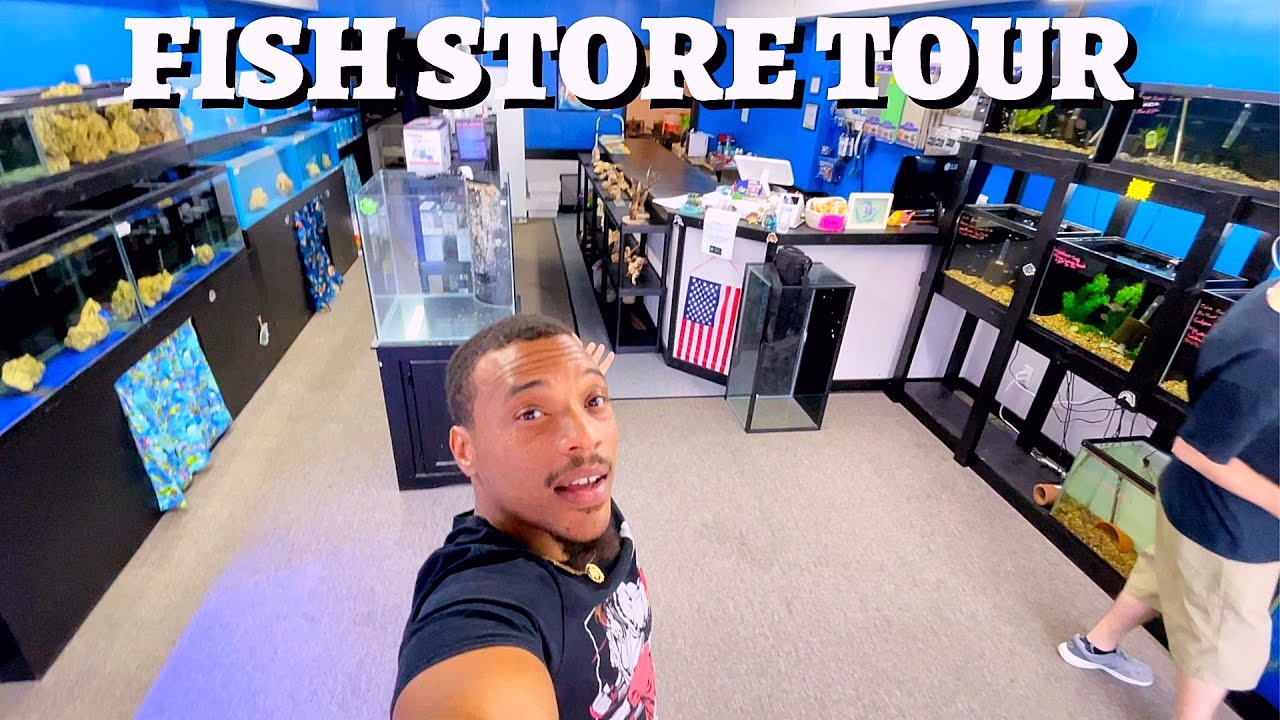 local Fish Store That Keeps It Simple | lfs tour
