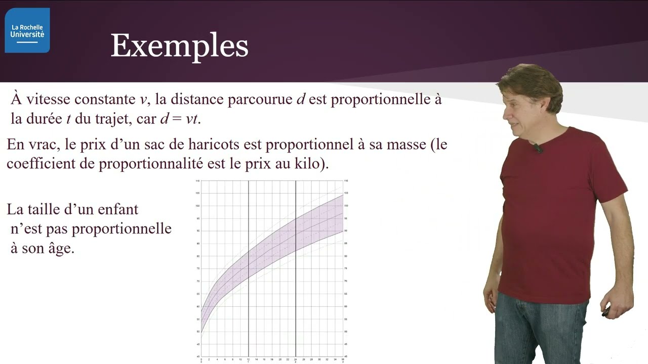 Proportionnalité 1 :  qu'est-ce que c'est exactement ?