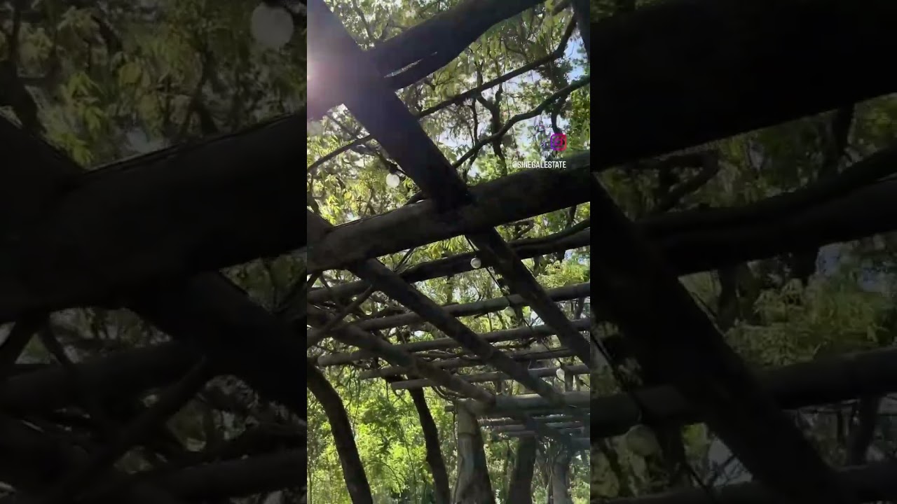 Beneath the vines, along the lake, with the best company. 