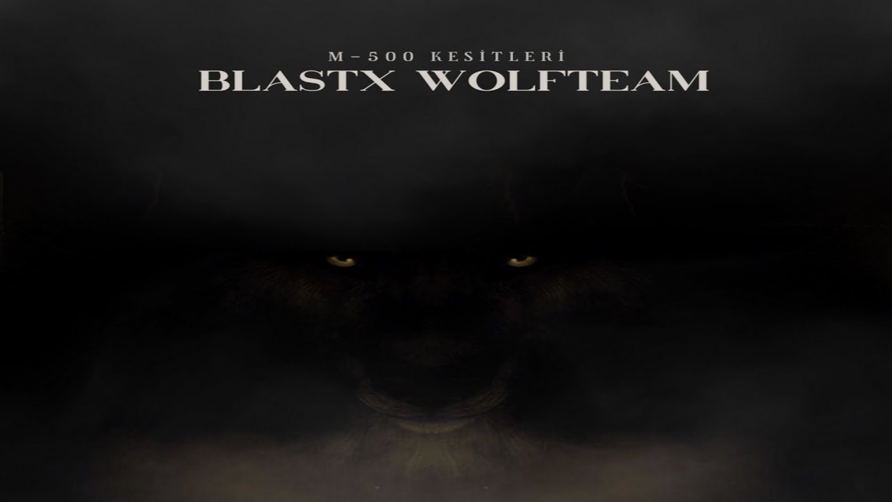 Hile Demekte Haklısınız Çocuklar #wolfteam #blastx