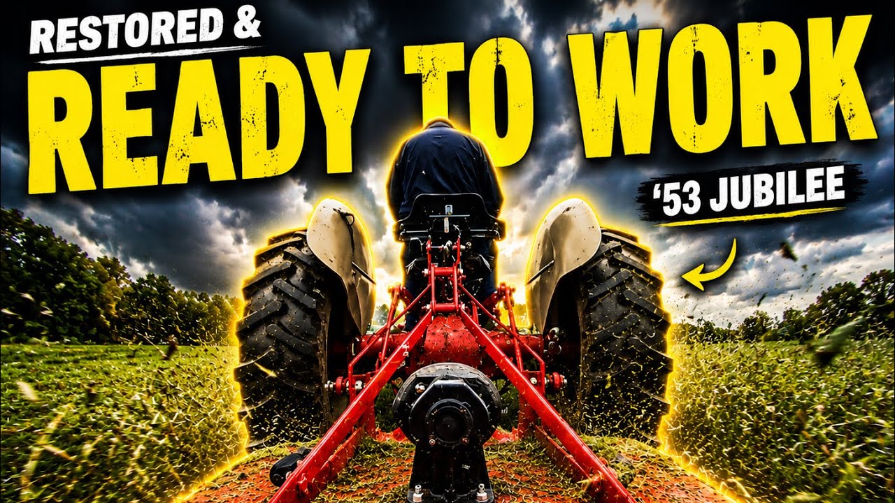 Brush Hogging with a Restored 1953 Ford Jubilee | Watch This Old Tractor Work Like New