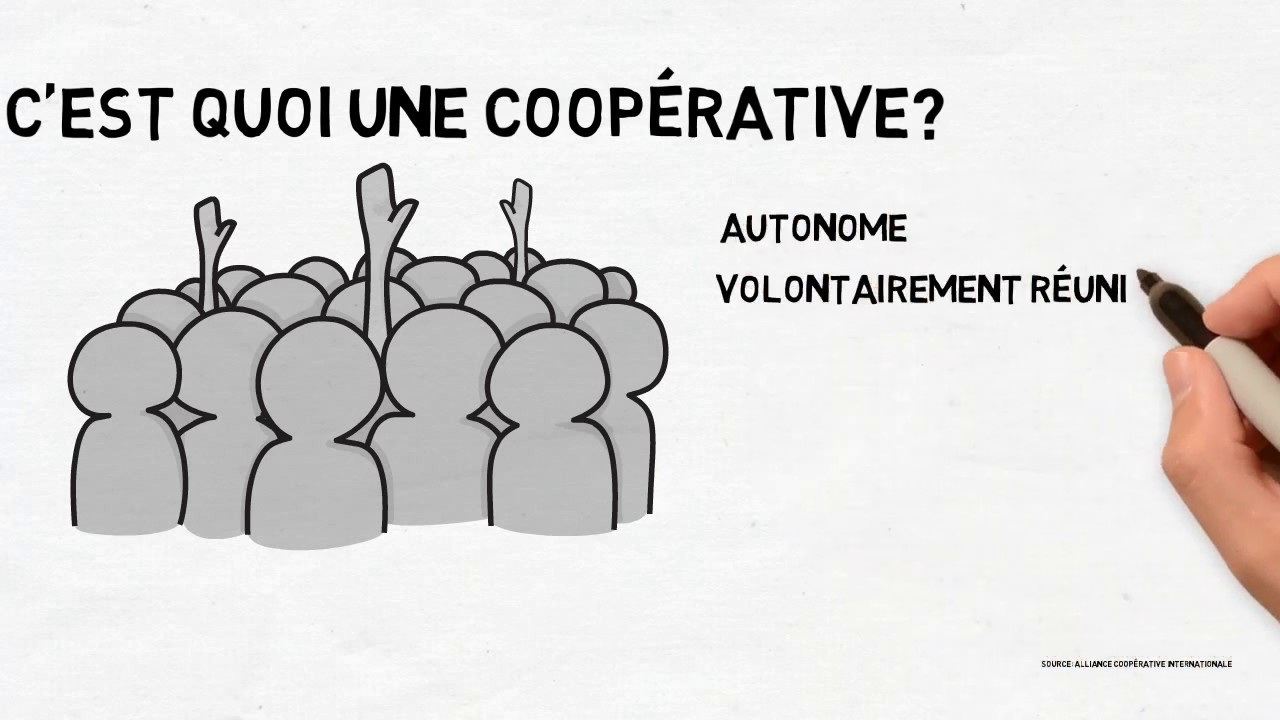C'est quoi une coopérative ?