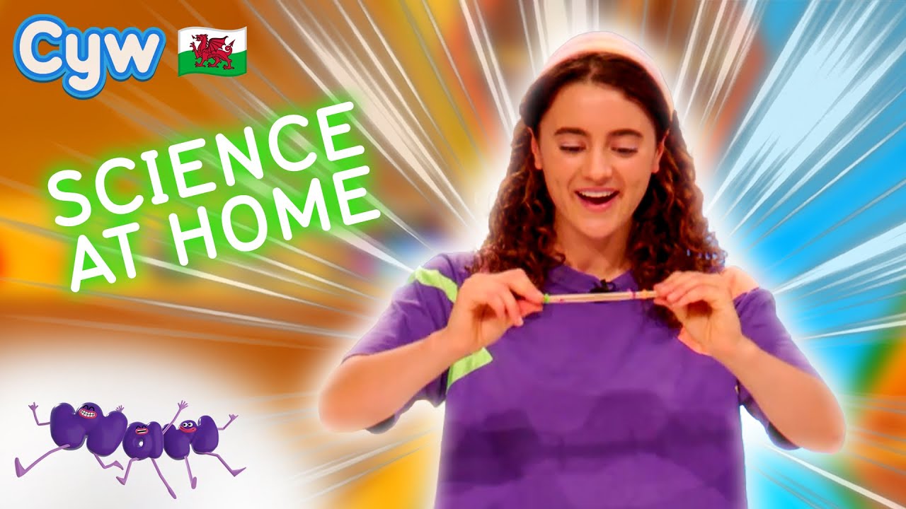 Waw! Sŵn - Arbrawf Adref 🏠 Home Experiment | Welsh Science for Kids 🏴󠁧󠁢󠁷󠁬󠁳󠁿