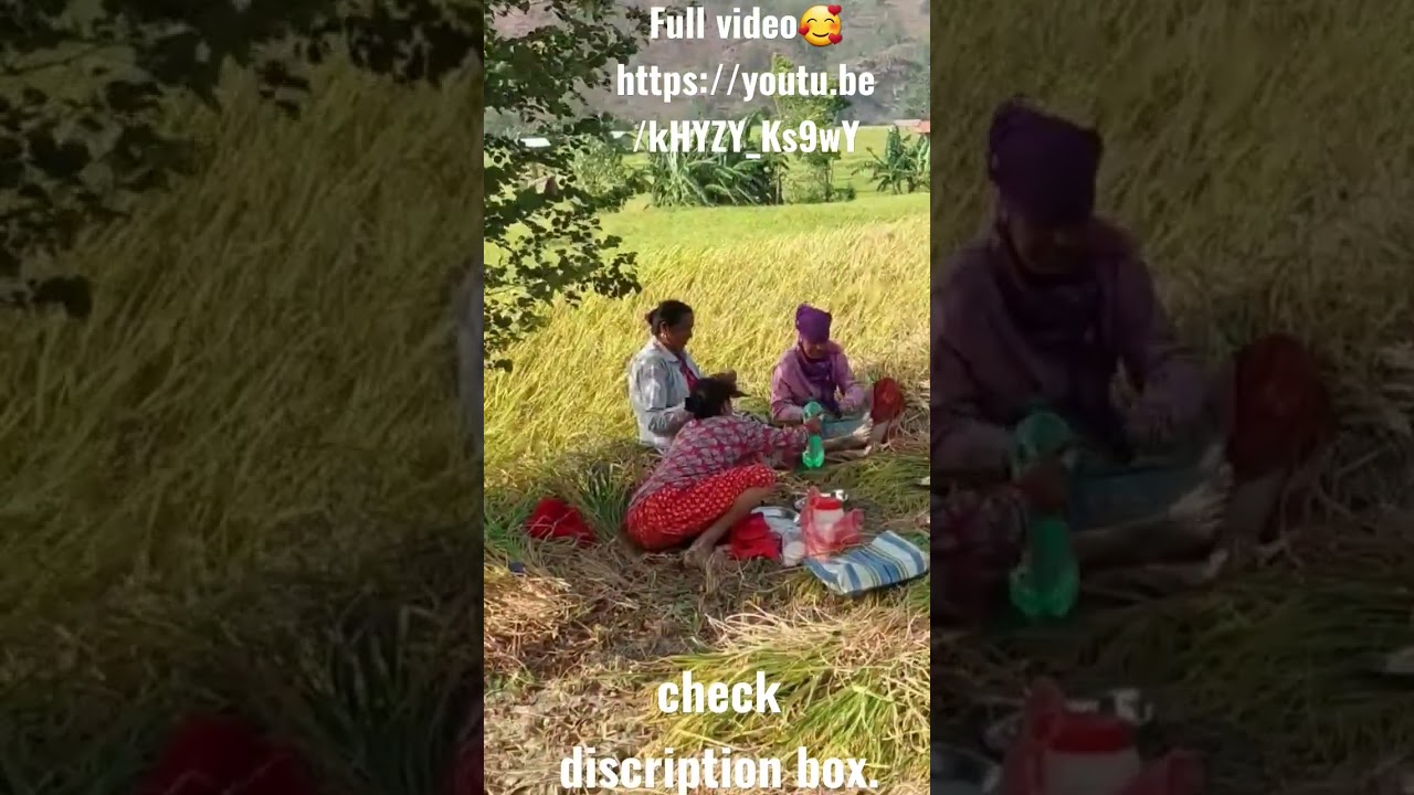 Rural life | Village cooking lifestyle| Nepali village