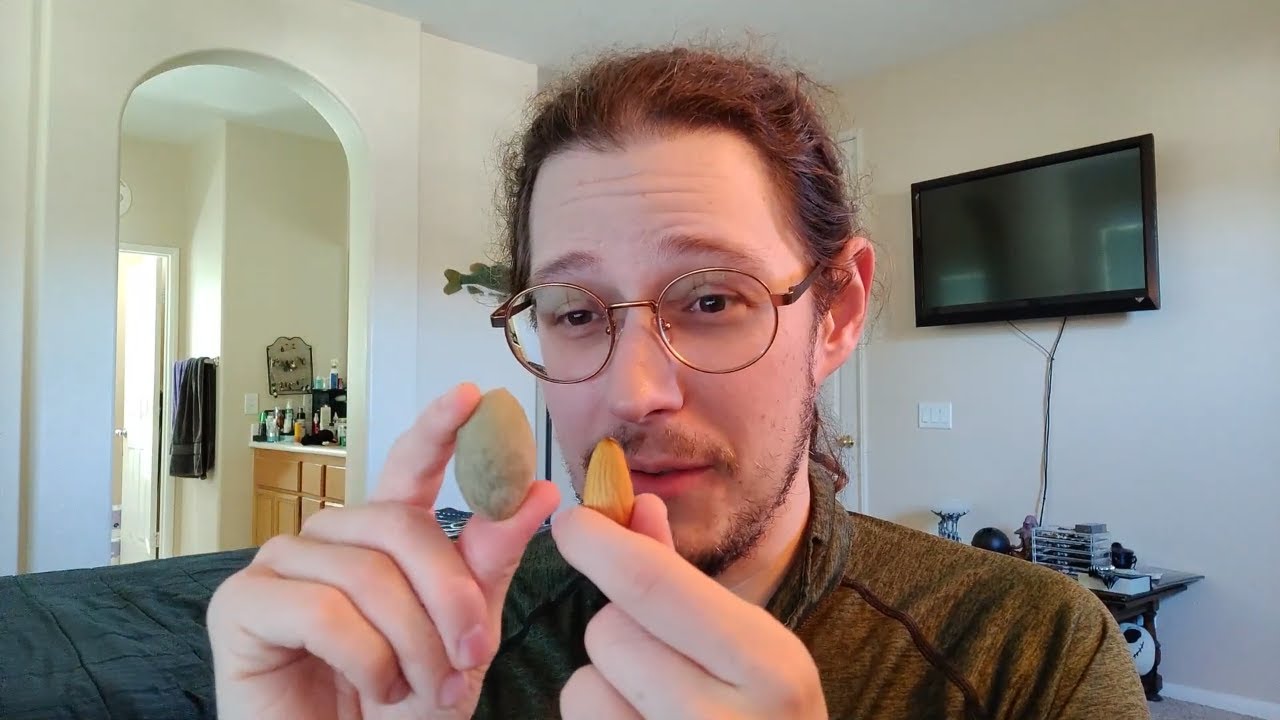 Trying Fresh Green Almonds - Almond Fruit