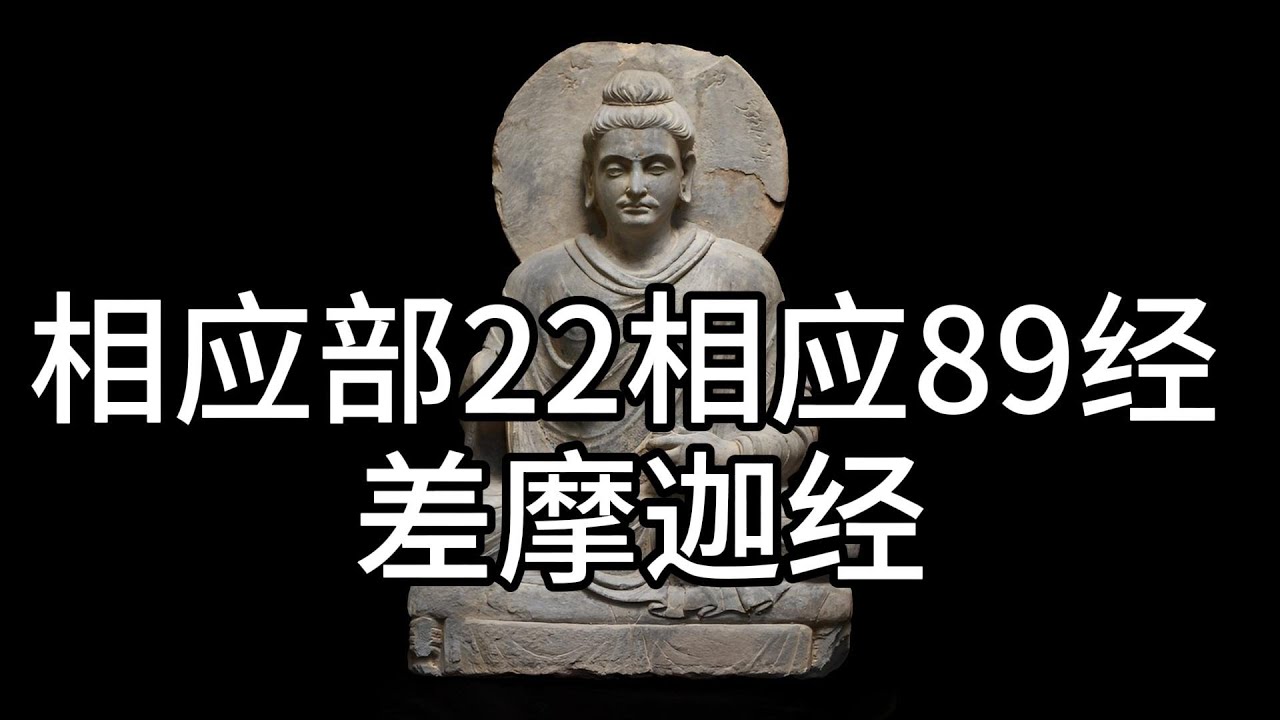 相应部22相应89经 差摩迦经，中文白话翻译。（296）