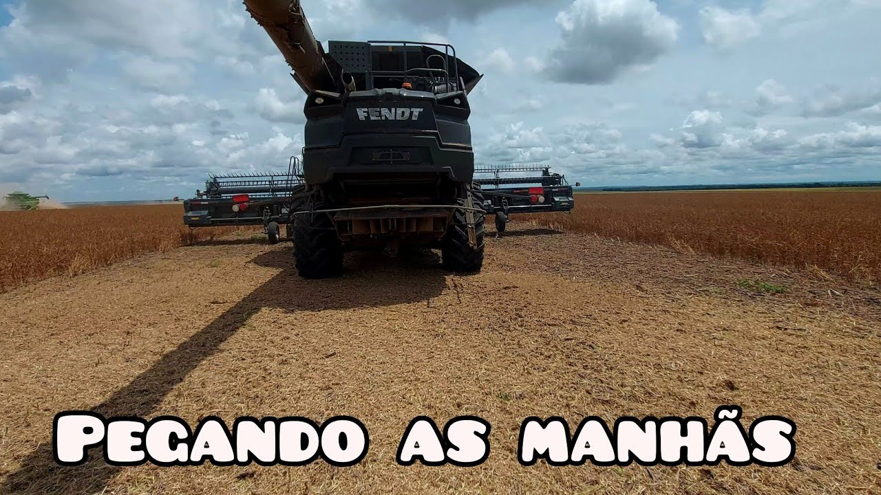 Ep 148 entremos no talhão comunidade soja baixinho mais bem produtivo CZ B32