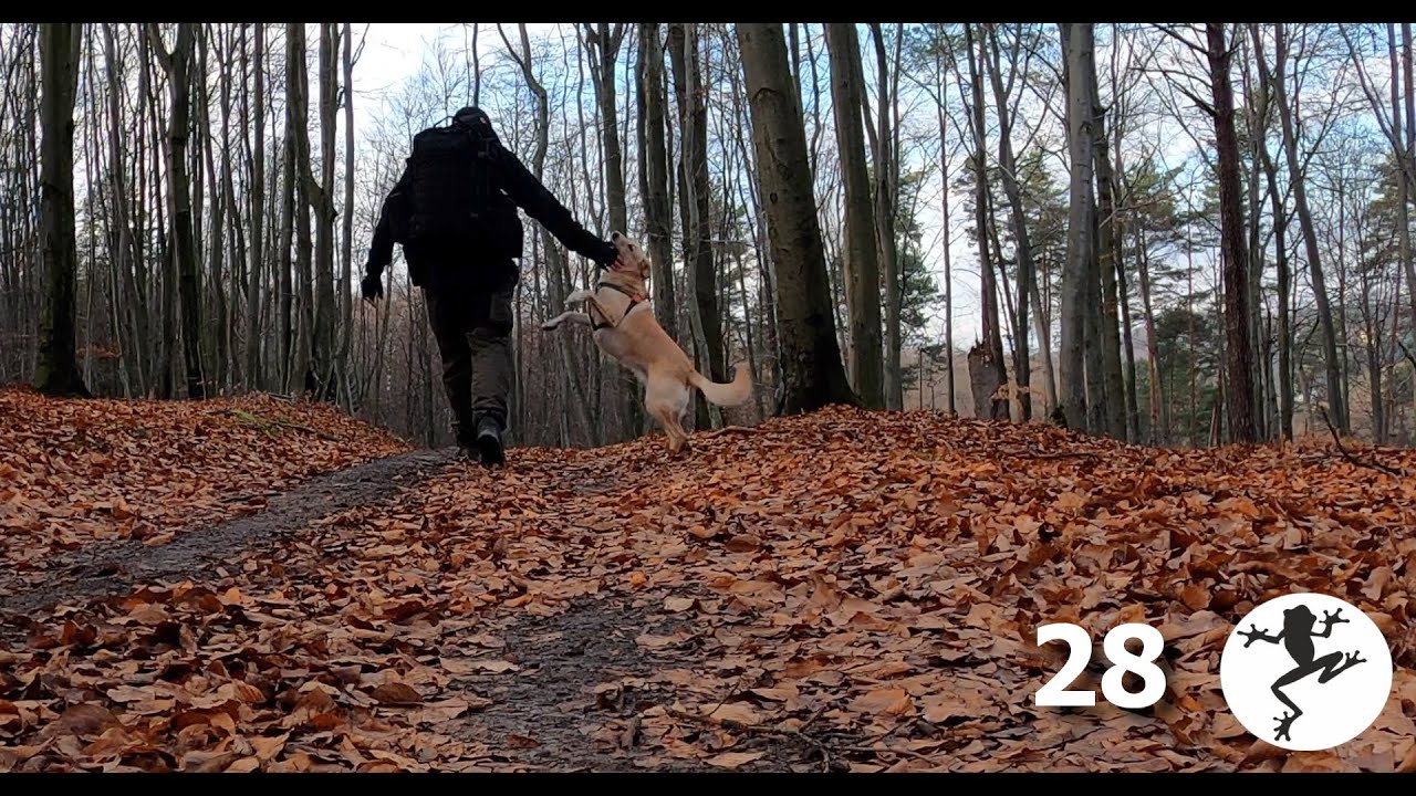 Powrót na szlak i król plecaków. Vlog 🐸 28
