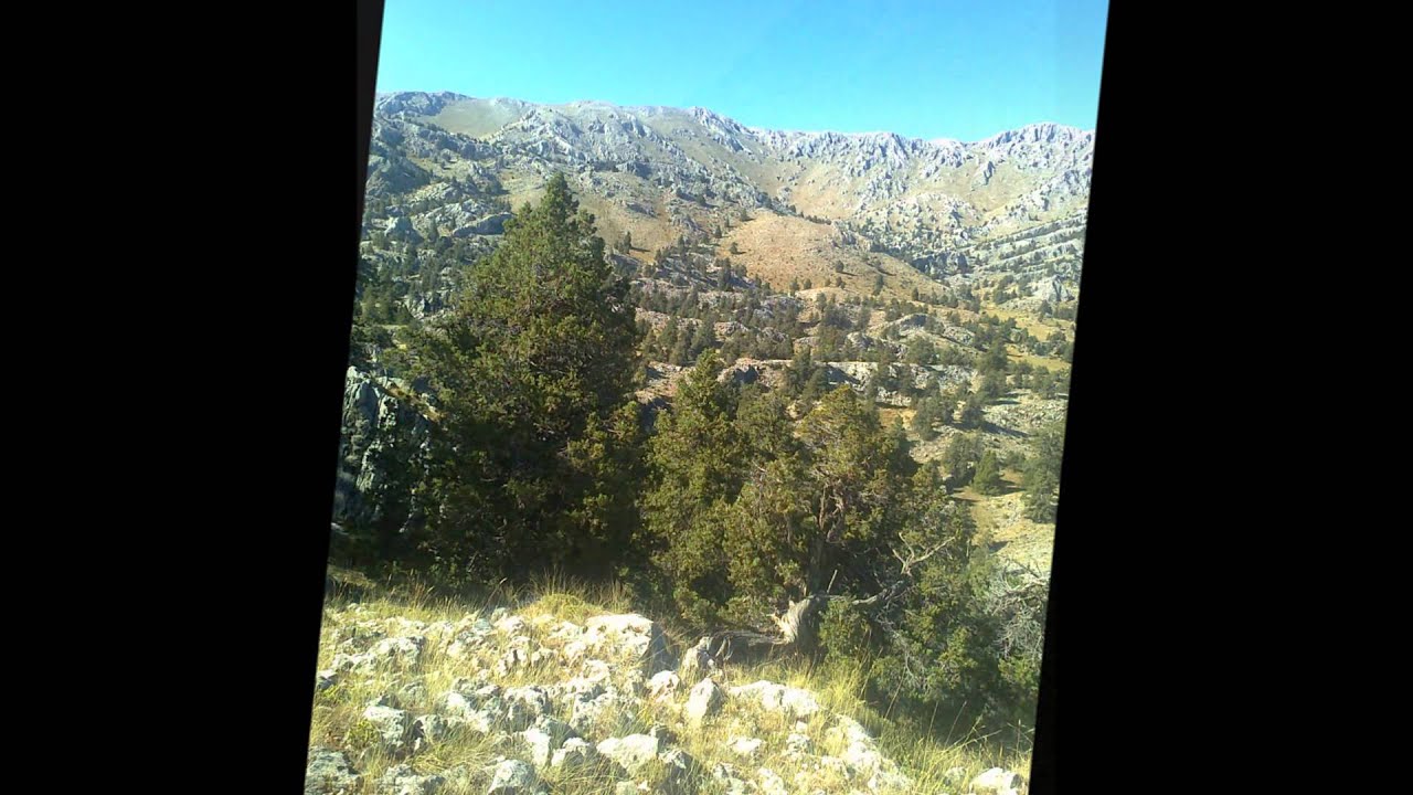 sarikaya koyu sarkikaraagac/isparta