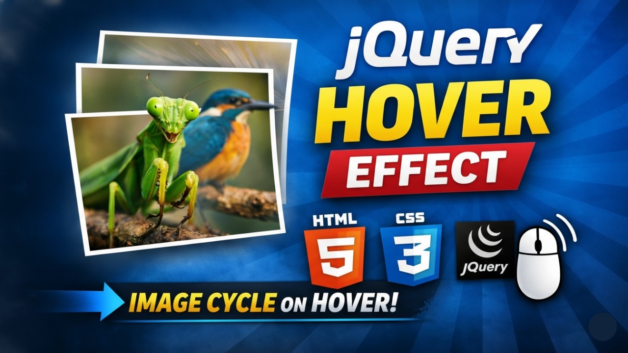 How to Create Mouse Hover Image Gallery Effect Using jQuery | Step by Step