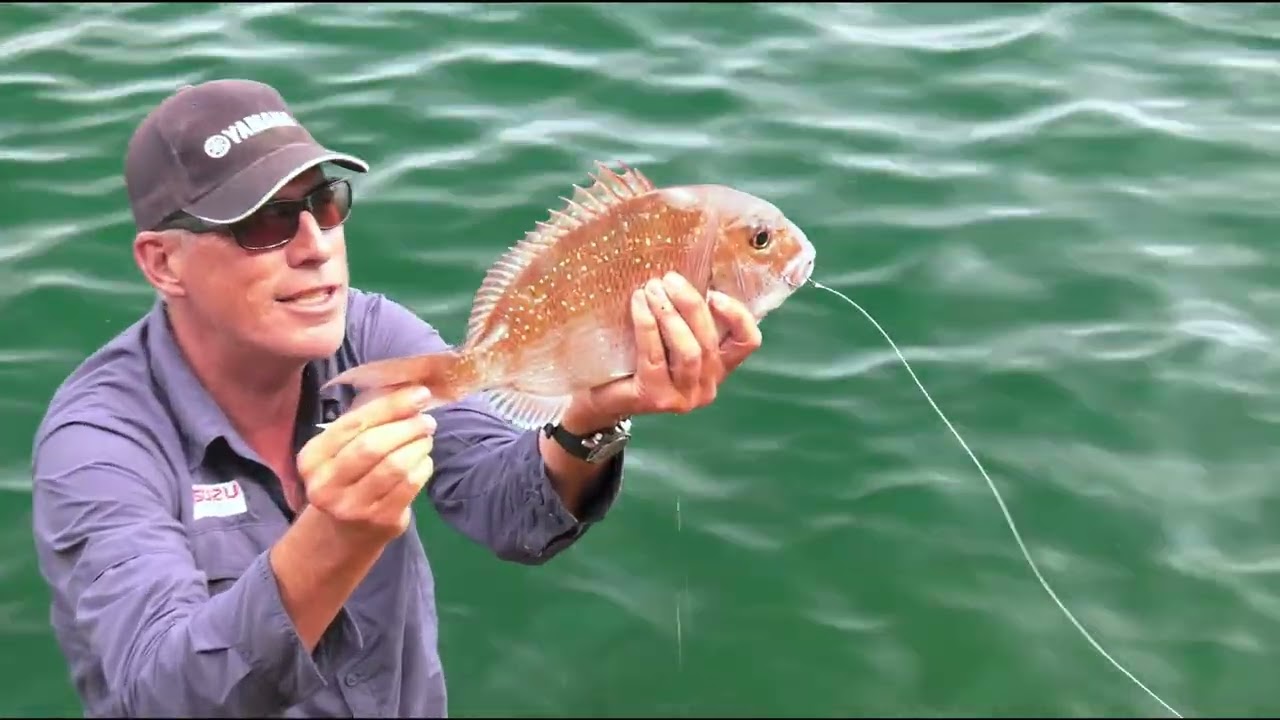 Wicked Roadtrip - Coromandel Snapper