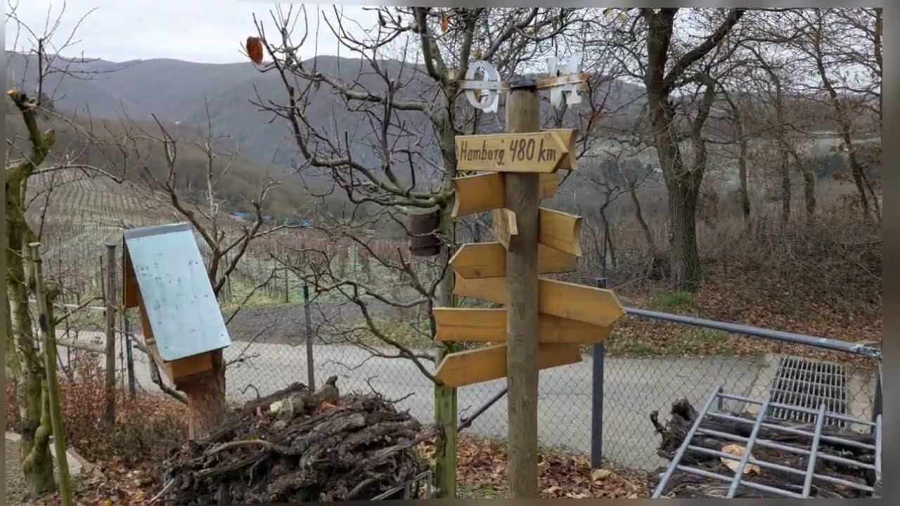 Daniel Buschatz - Trampelpfad (Musikvideo, 2025)