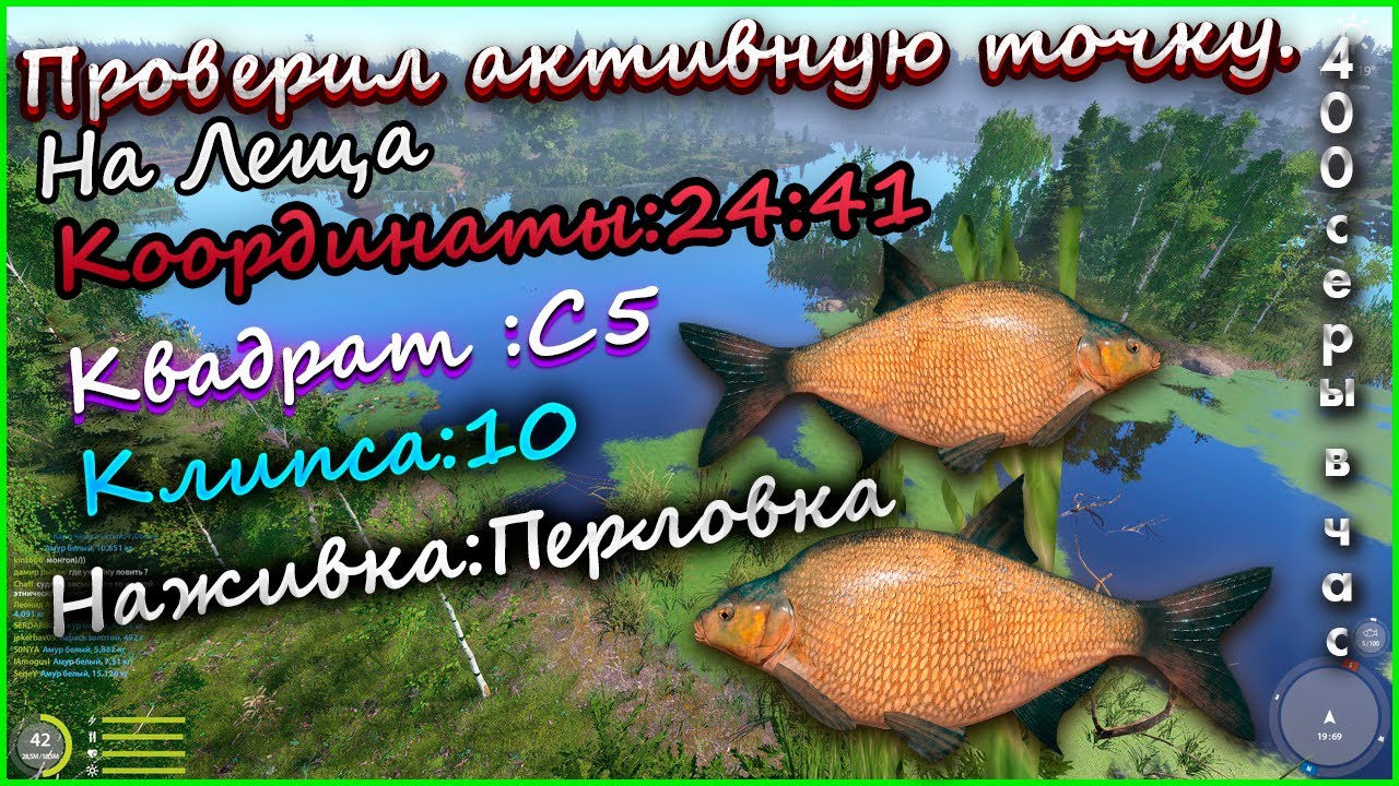 Трофейный Лещ где поймать тут l Проверил Дикий фарам 400 серы в час  на Леще оз.Старый Острог  #рр4