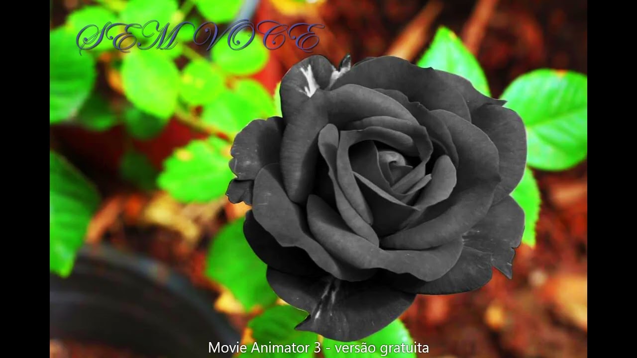 FREE R&B Type beat SEM VOCE