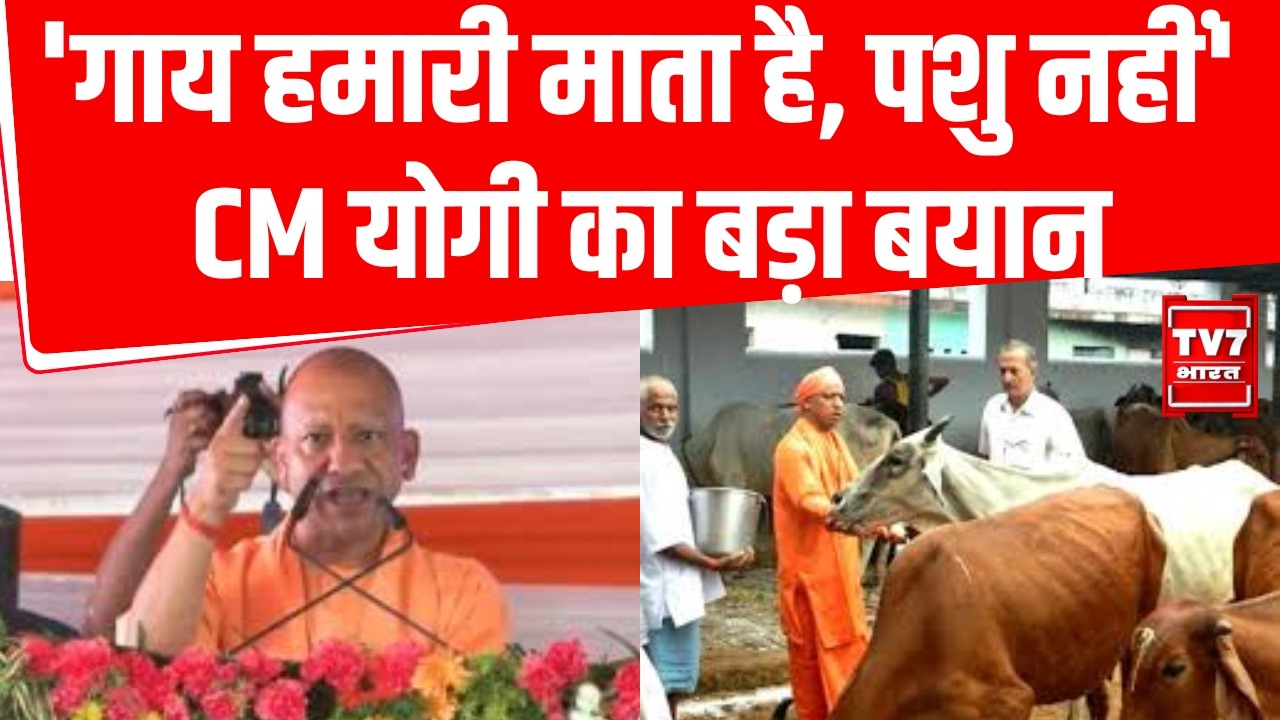 CM Yogi Bijnor Visit: गाय स्वघोषित राष्ट्रमाता हैं- CM योगी | CM Yogi On Cow Protection | Breaking