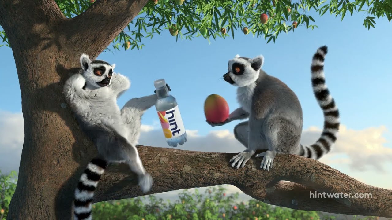 Hint Water VO Spot Cast by Terry Berland