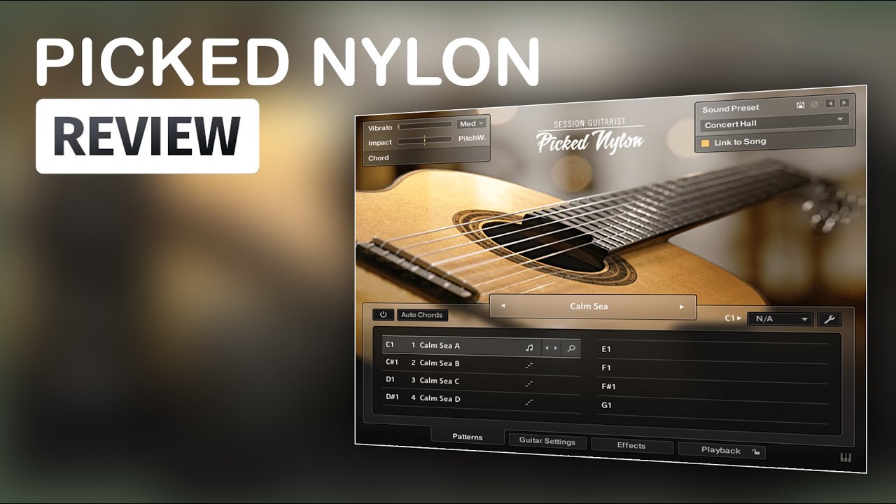 Native Instruments: NEW - Picked Nylon - Demo/VST Review/Contest with Metapop