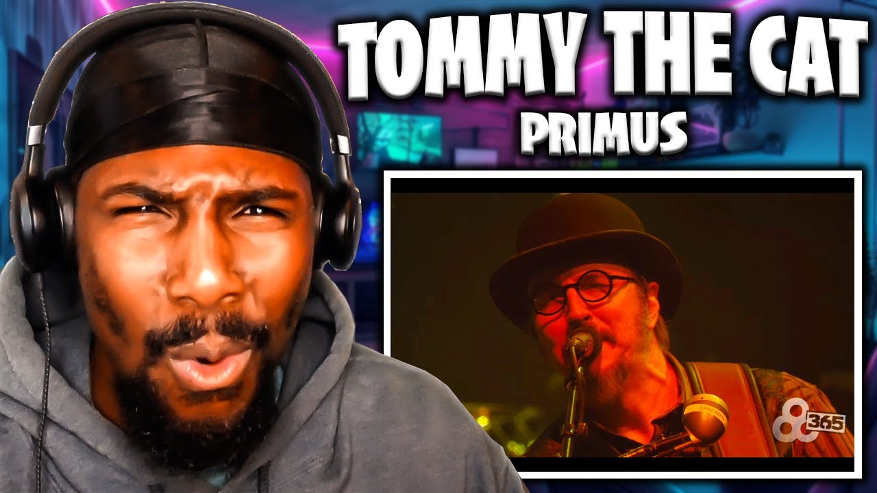 GREAT SOLOS!! | Tommy The Cat (Live) - Primus (Reaction)