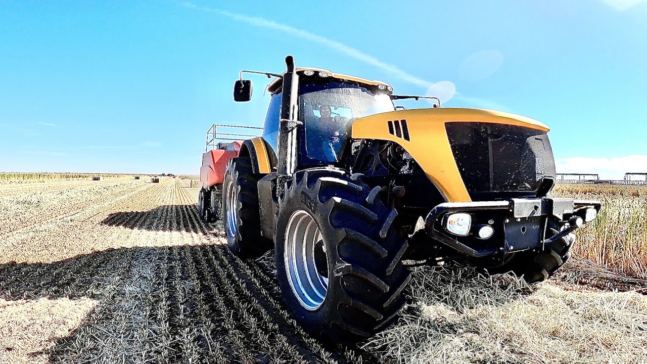 Big Bale Triticale
