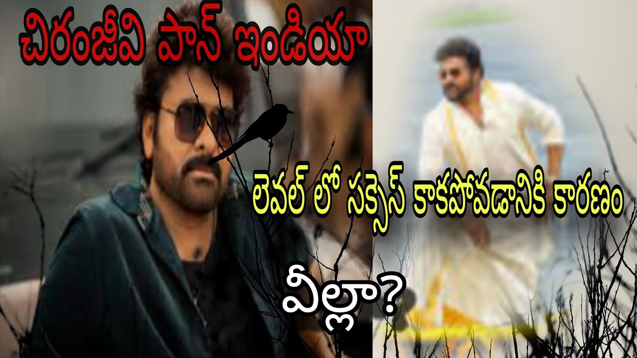 చిరంజీవి పాన్ ఇండియా లెవల్ లో సక్సెస్ కాకపోవడానికి కారణం వీల్లా?