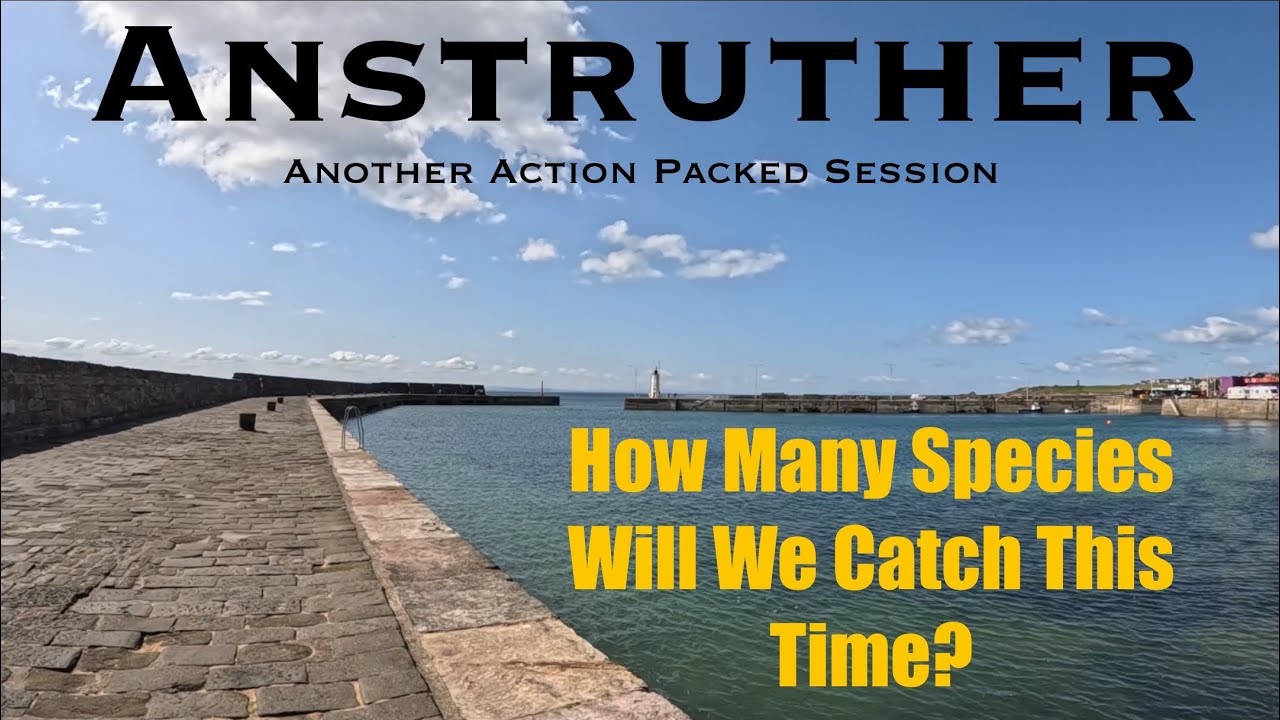 Sea Fishing Scotland - Fife - Anstruther Harbour - Incredible Variety of Species