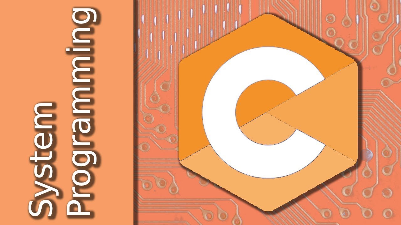 Чтение и запись необработанных байтов в файлы на языке C.