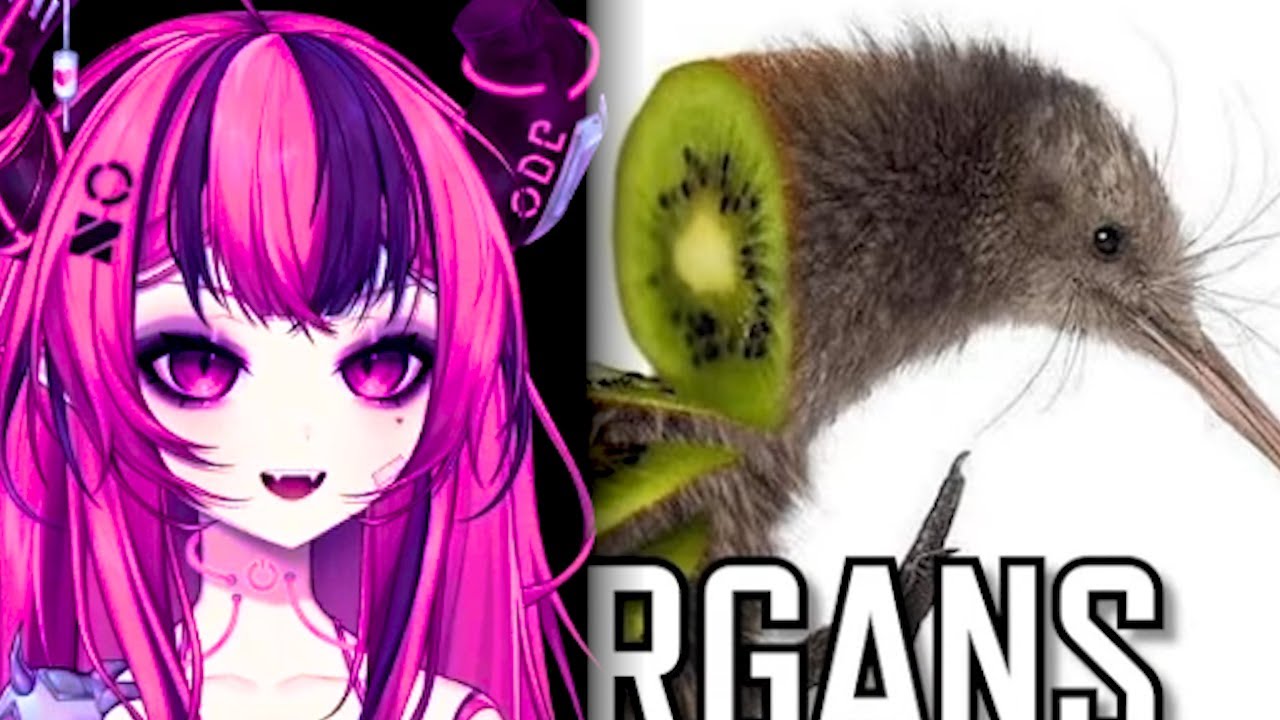 Ironmouse реагирует на ужасную статистику Kiwi Bird
