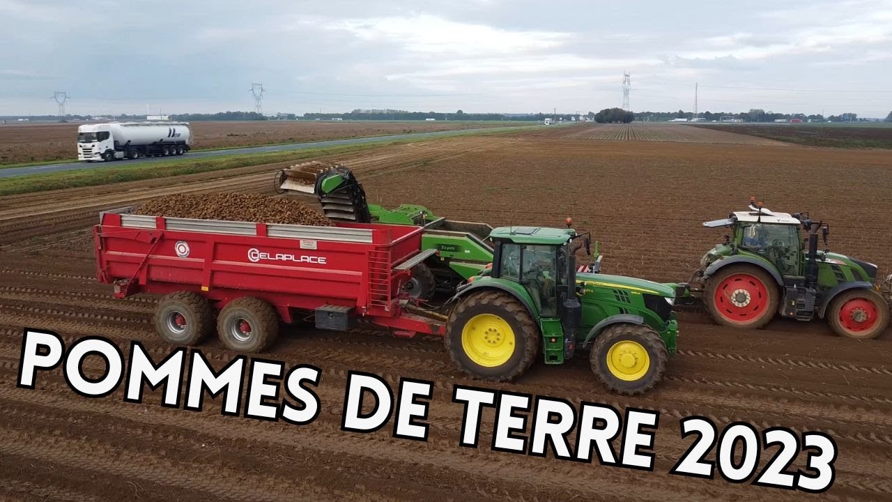 Pommes de Terre 2023 🥔