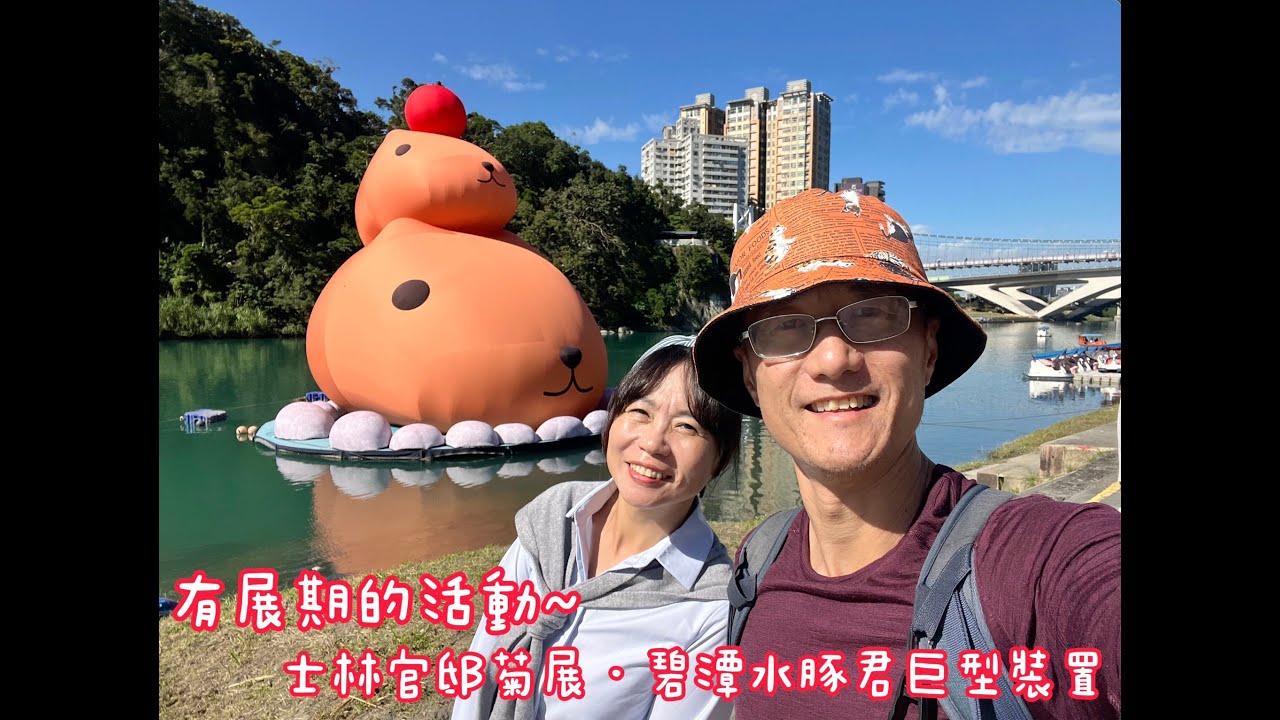 114 11 30士林官邸菊展＋碧潭水豚君巨型藝術裝置
