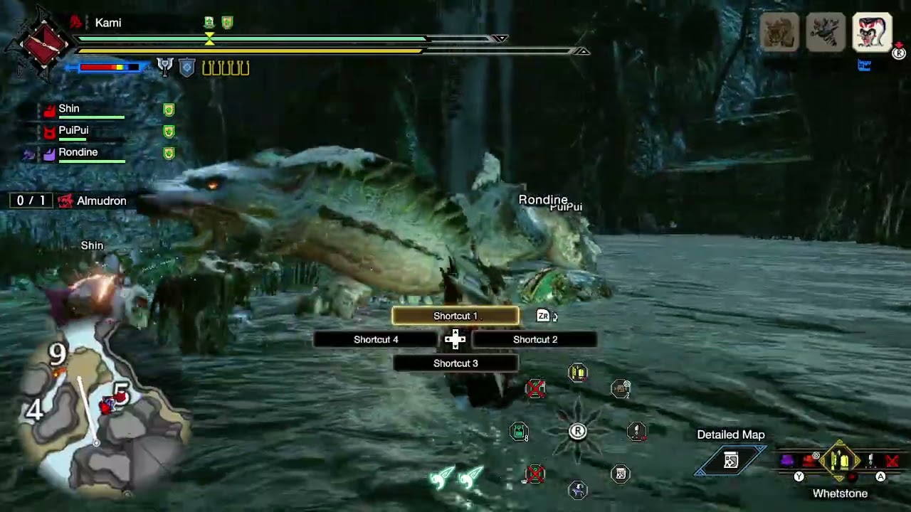 Pro capturer fr 