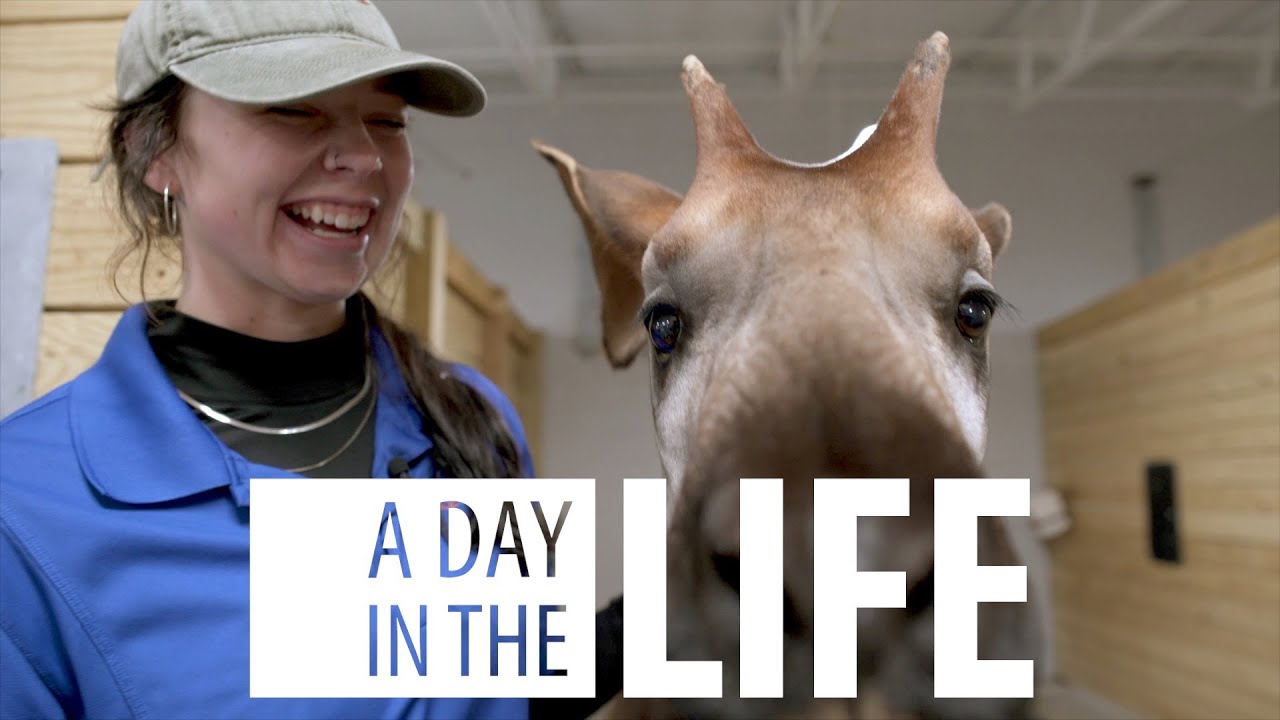 A Day in the Life - Keeper - Macy