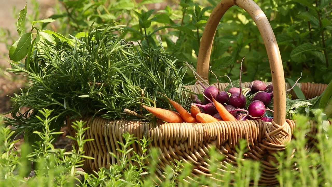 La Ferme Saint Siméon - Relais & Châteaux, Honfleur - Normandie