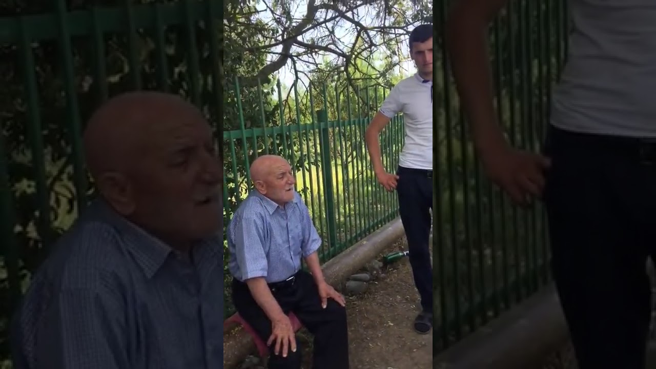 Алимет халу