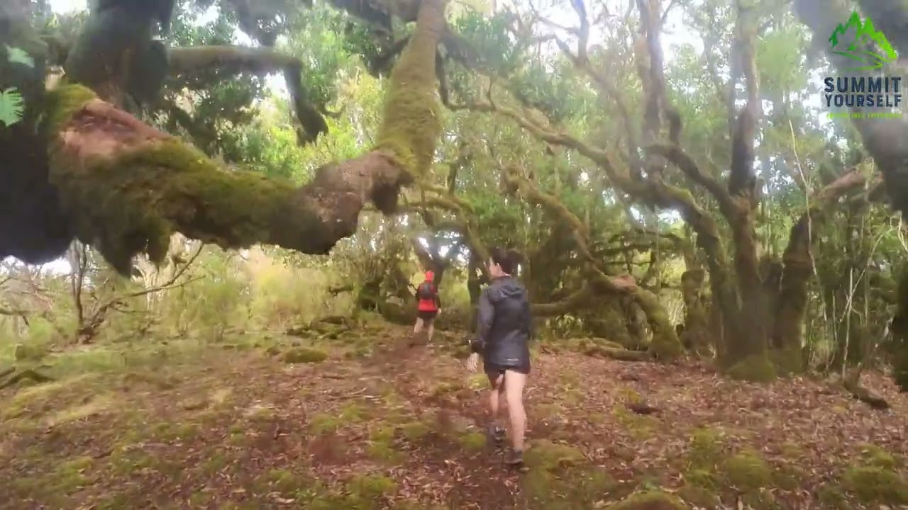 Reconhecimento Trail Ultra do Porto Moniz 2025