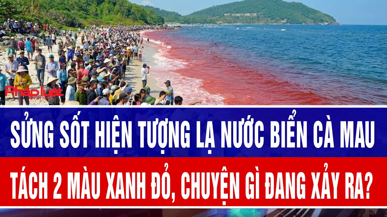 Sửng sốt hiện tượng lạ nước biển Cà Mau tách 2 màu xanh đỏ, chuyện gì đang xảy ra?